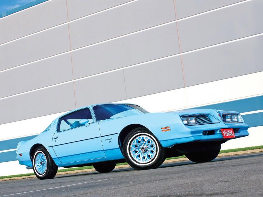  Pontiac Firebird Esprit Sky Bird 1977 года  (фото 2 из 4)